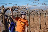 /album/fotogaleria-inicio/imagescarxv8yy-jpg/